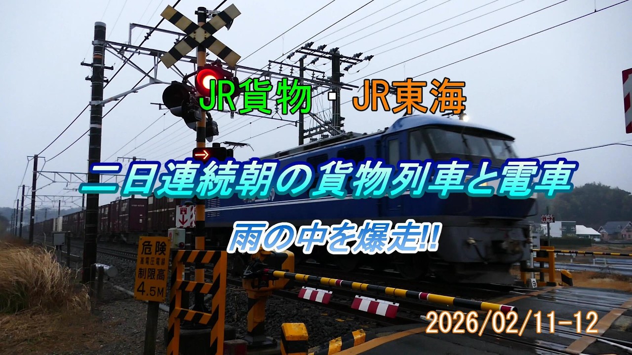 JR貨物・JR東海 二日連続朝の貨物列車と電車 雨降りでも爆走!!