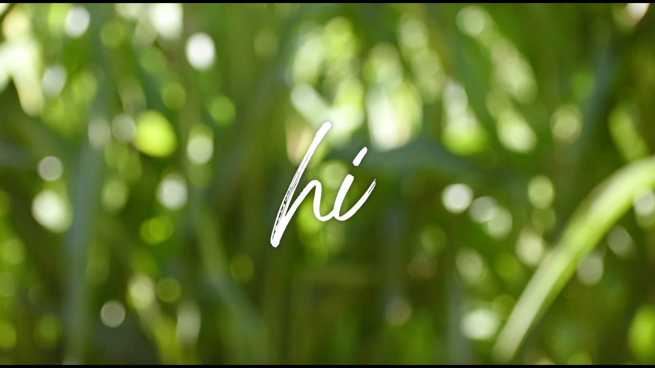 Gabriel Eli, KAYLN - Hi (Official Lyric Video)