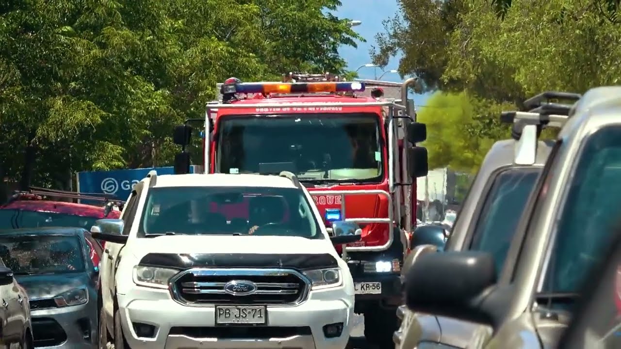 B5 Z8 BR0 UT4 2-й пожарный извещатель 30 11 2025