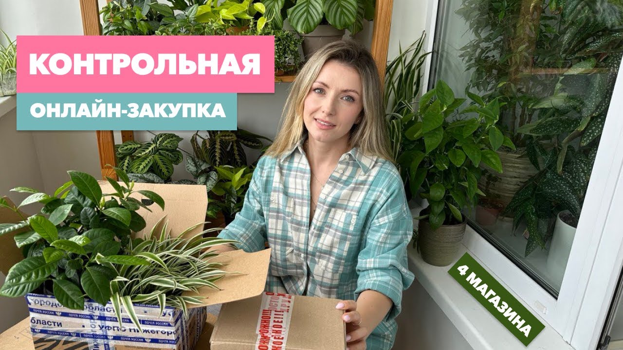Распаковка посылок с растениями из 4 интернет-магазинов