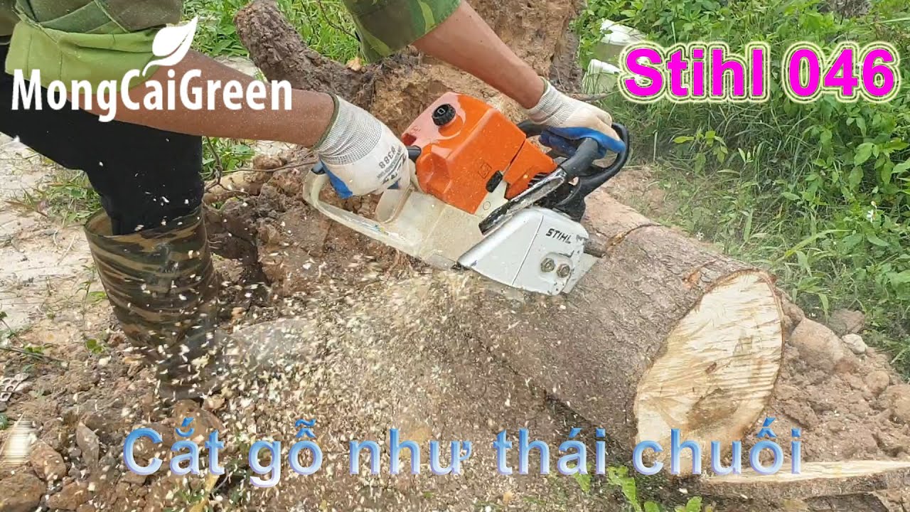 M&aacute;y cưa x&iacute;ch Stihl 046 - Stihl Chainsaw 046 - Si&ecirc;u phẩm cắt gỗ như th&aacute;i chuối - MongCaiGreen Shop