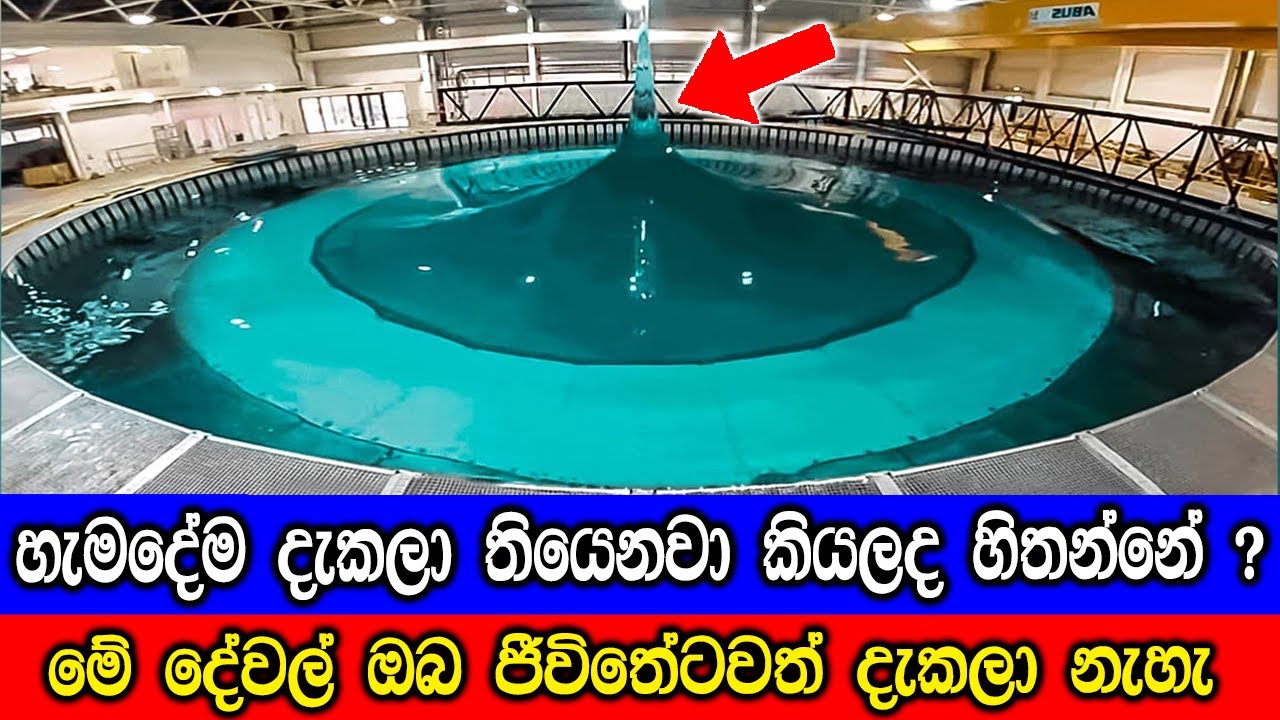හැමදේම දැකලා තියෙනවා කියල හිතන අය, ජීවිතේටවත් දැකපු නැති දේවල්.