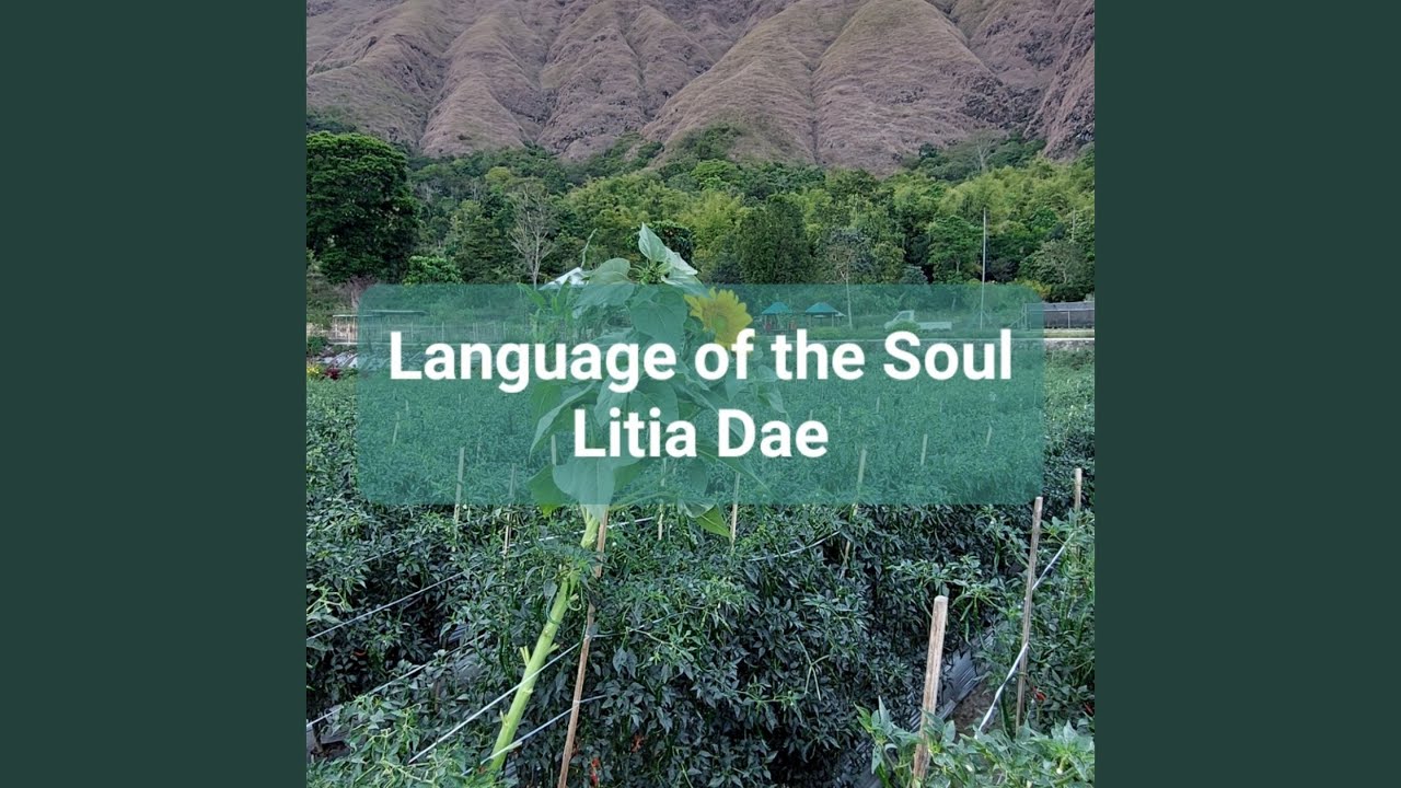 Language of the Soul