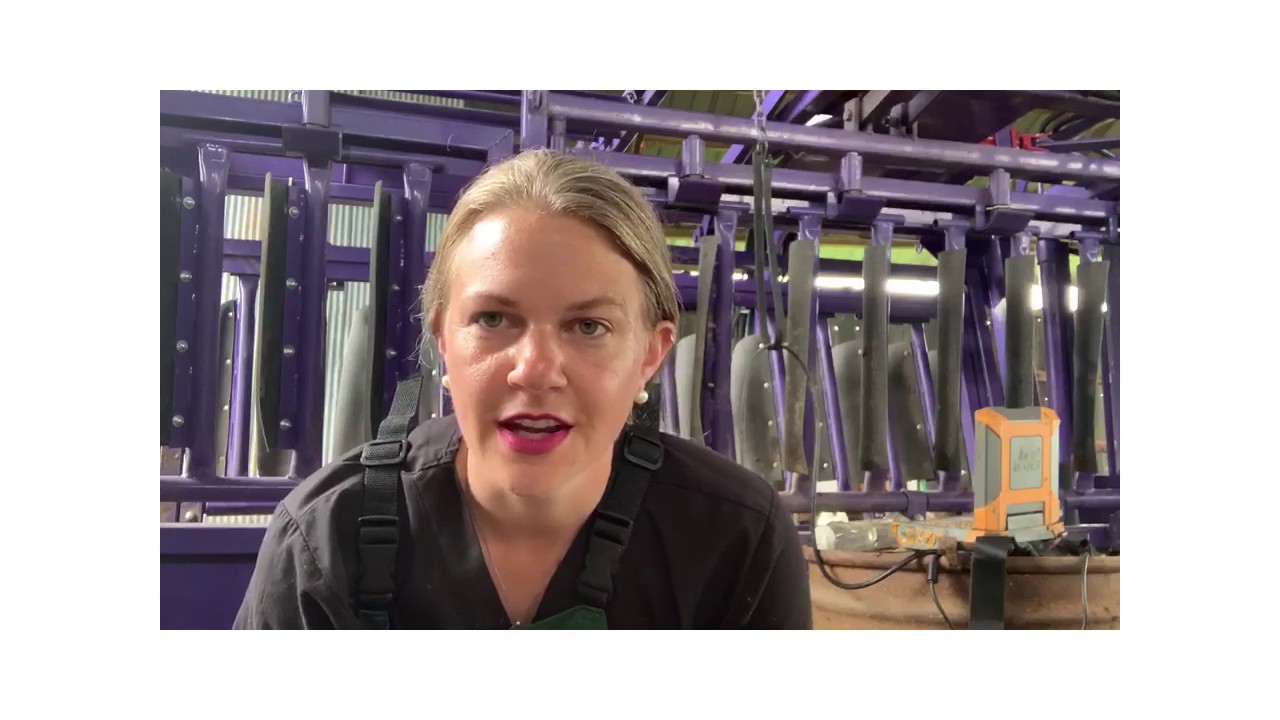 A Day in the Life of a Mobile Veterinarian, Part 1