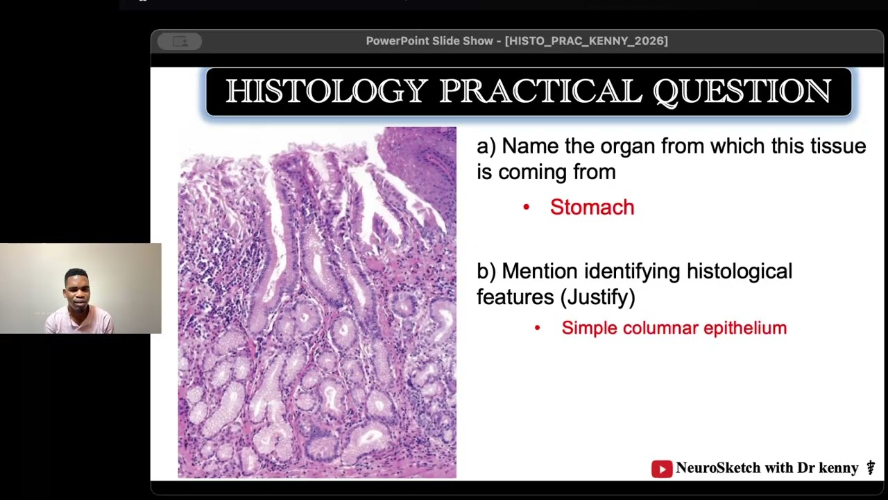 Question 3