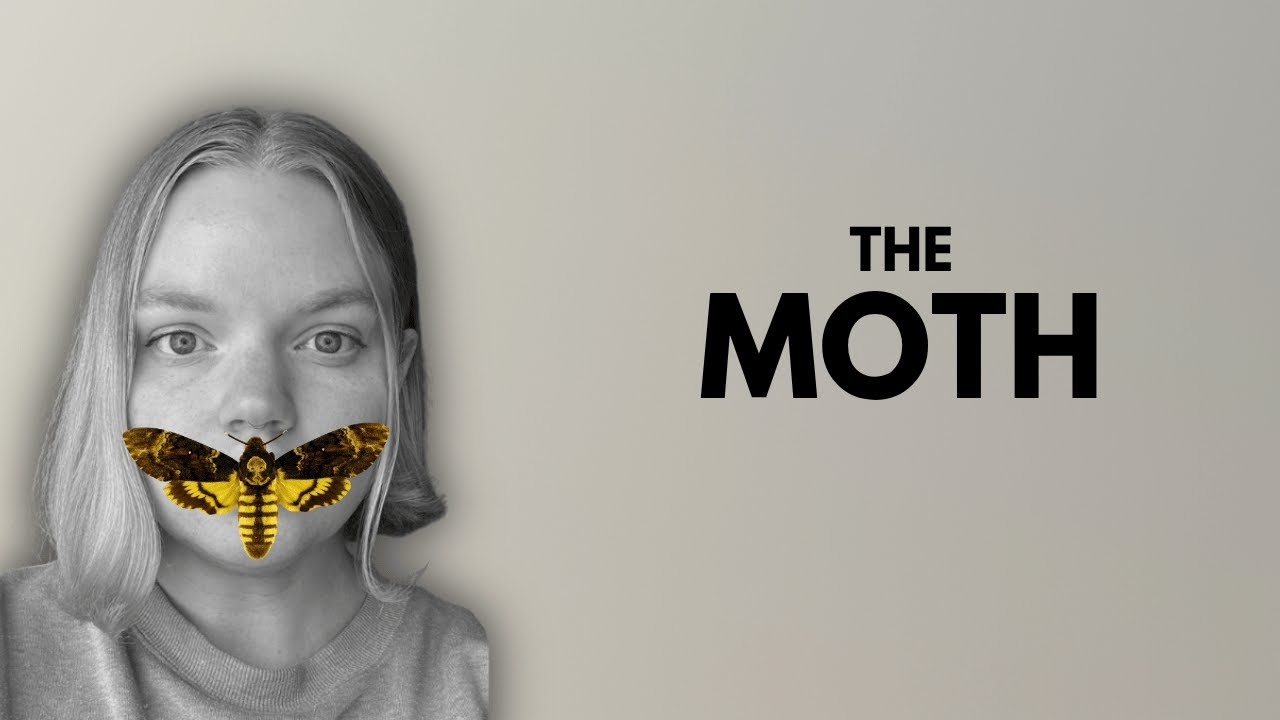 MOTHS vs. my hand knit wool sweaters