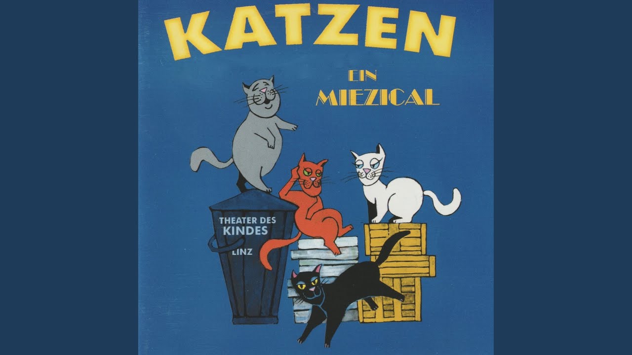 Coole Katze