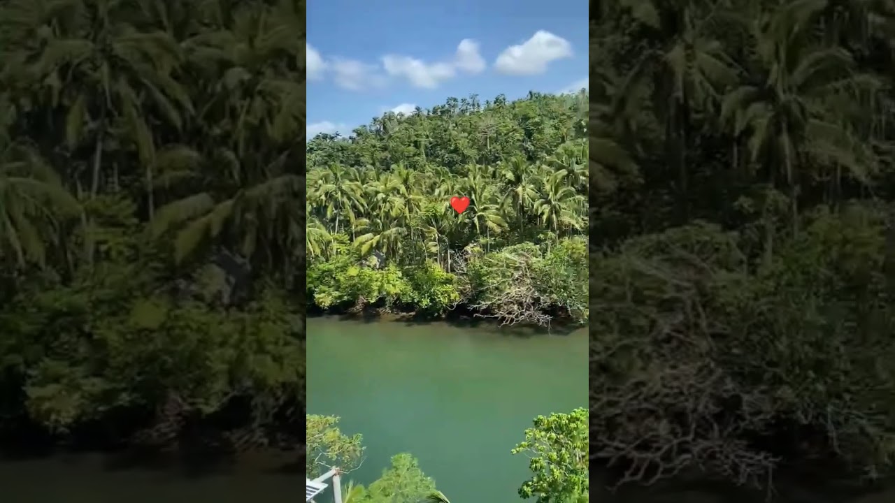 Beauty To Behold #trending #nature #viral #shorts #fyp #viralshorts