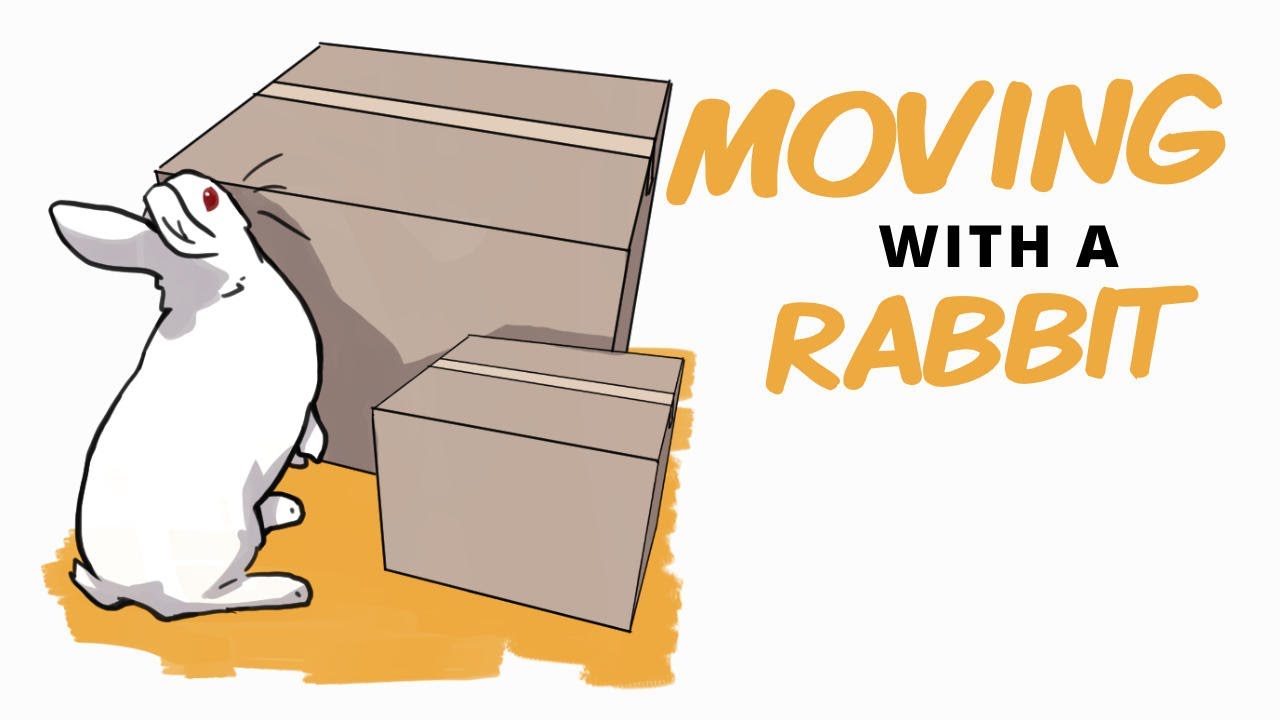 Moving House With a Rabbit