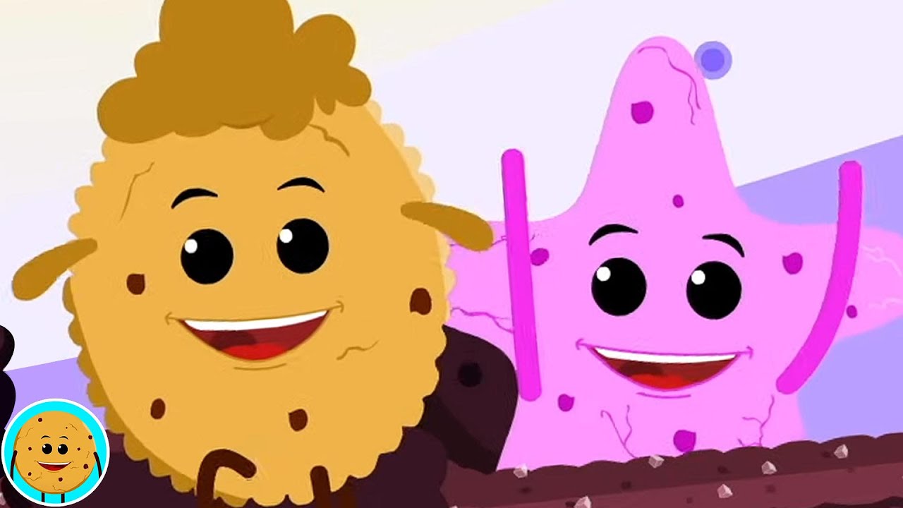 Mary Had A Little Lamb, Cartoon Video and Kids Rhyme