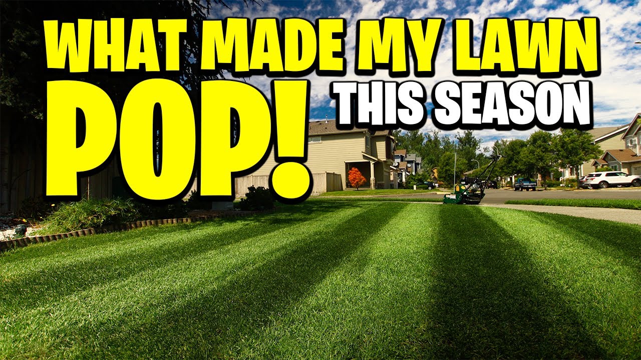 What made my lawn POP! This season? Cause dayum! 😂 GREEN GRASS! Cutting grass has never been so fun!