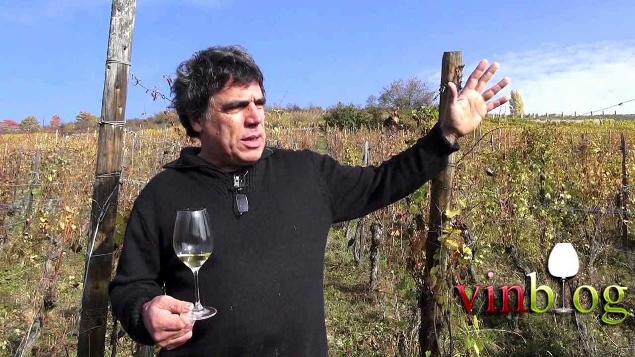 Alsace Grand Cru Mambourg