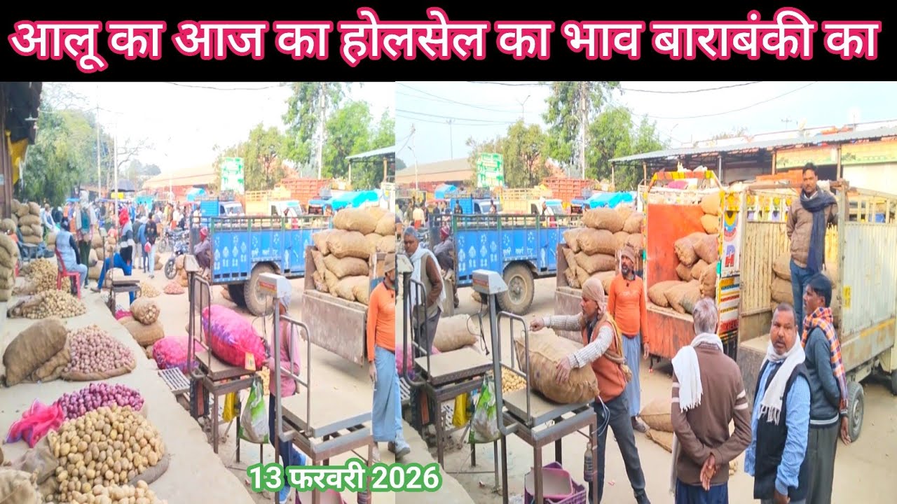  आलू का आज का होलसेल का भाव बाराबंकी का 13 फरवरी 2026 😍 aaj ka aalu ka bhav 🥔 Aalu bhav today 
