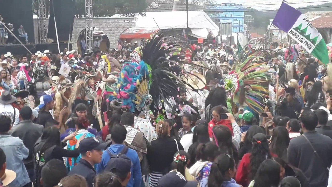 carnaval 2018 huayacocotla veracruz los pinos