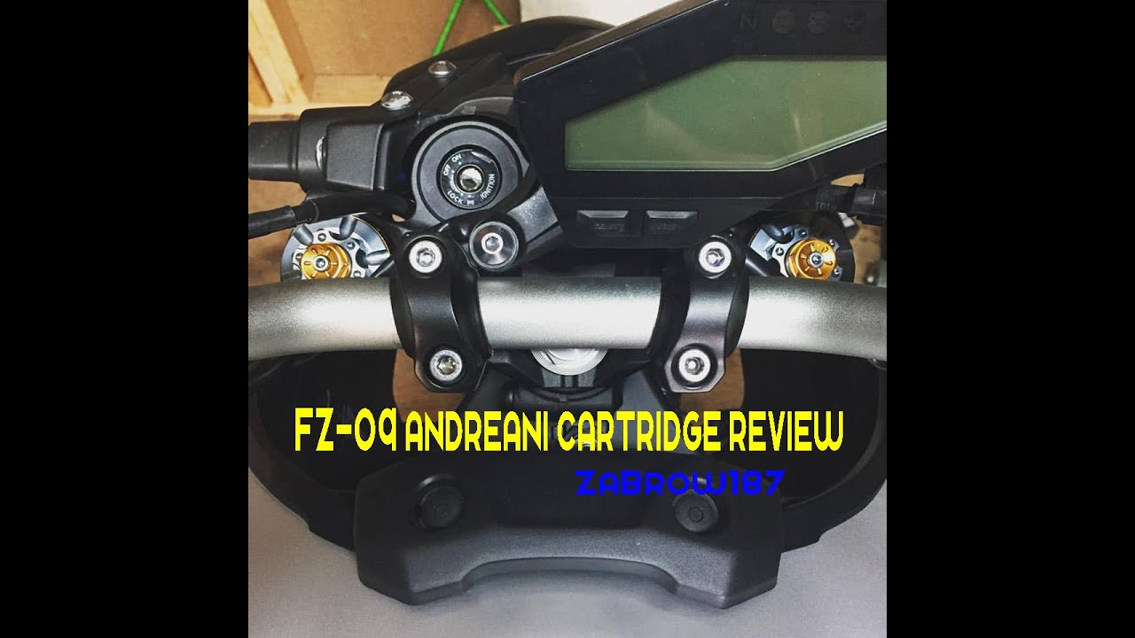 FZ-09 Andreani Cartridge Review