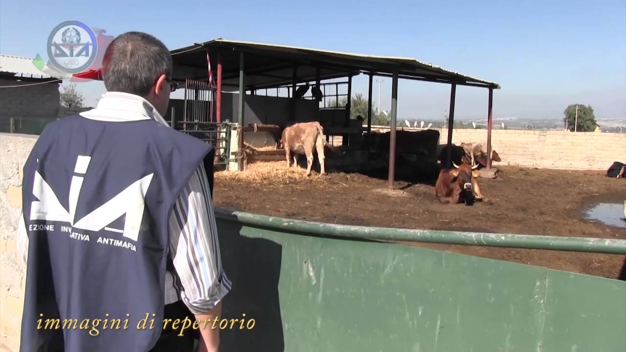 Confiscati beni a Giuseppe Privitera, fratello del boss del clan dei Carateddi
