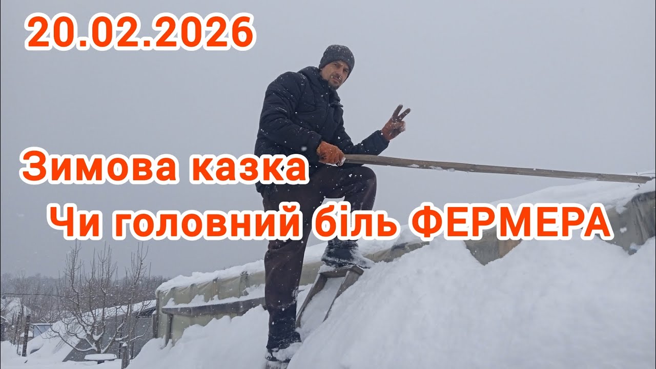 Зимова казка,чи головний біль ФЕРМЕРА 