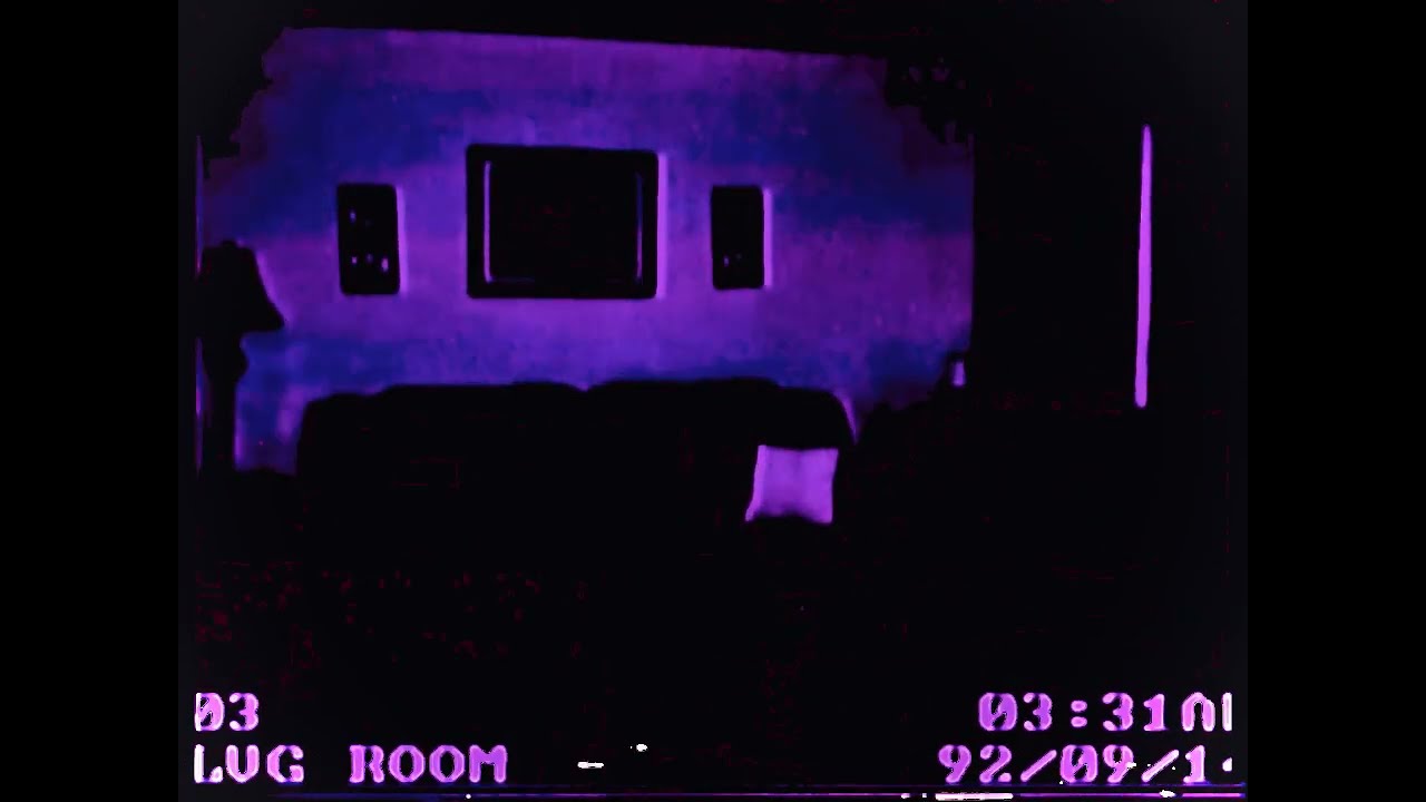 Home Security Footage 2 