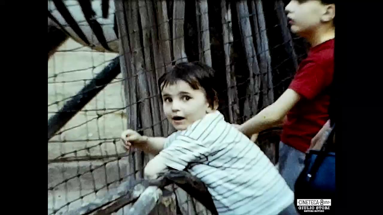 Zoo di Milano 13 maggio 1968