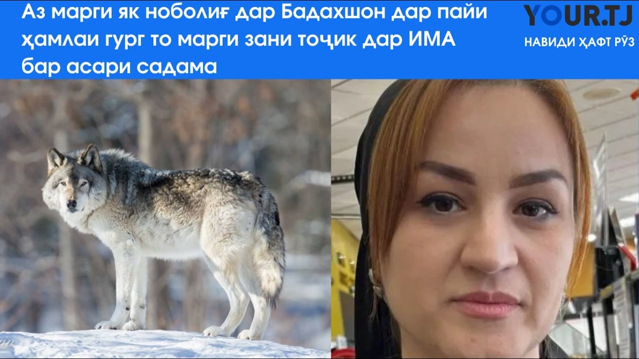 Аз марги як ноболиғ дар Бадахшон дар пайи ҳамлаи гург то марги зани тоҷик дар ИМА бар асари садама