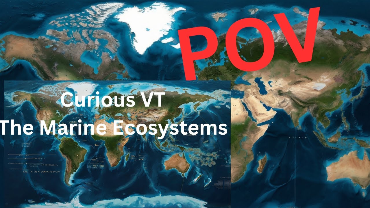 POV: The Marine Ecosystems