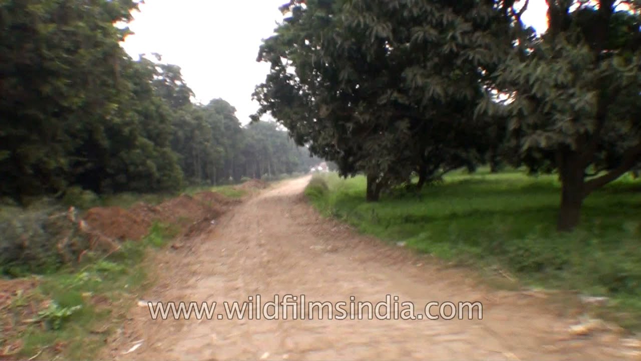 Travelling through the uneven roads of Muzaffarnagar