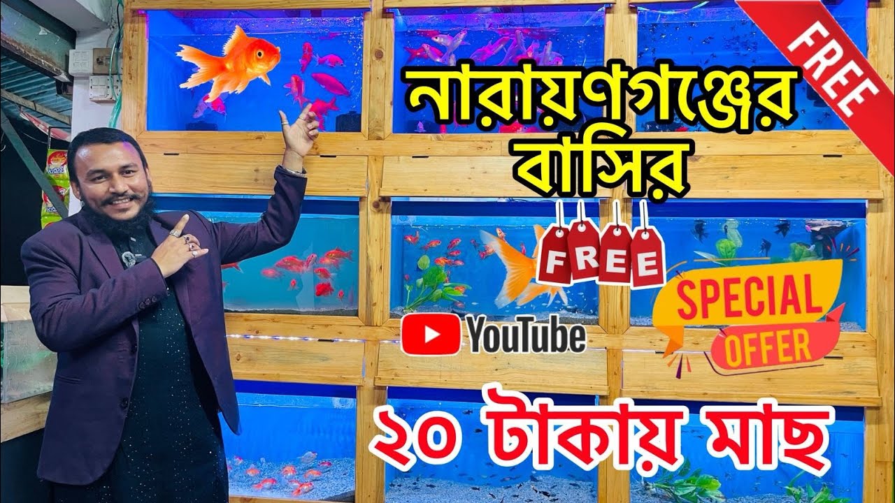 Aquarium Fish Price In katabon 2025|🐠🐠 Aquarium Fish Price | Aquarium | AR Rahman aquarium🐠🐠
