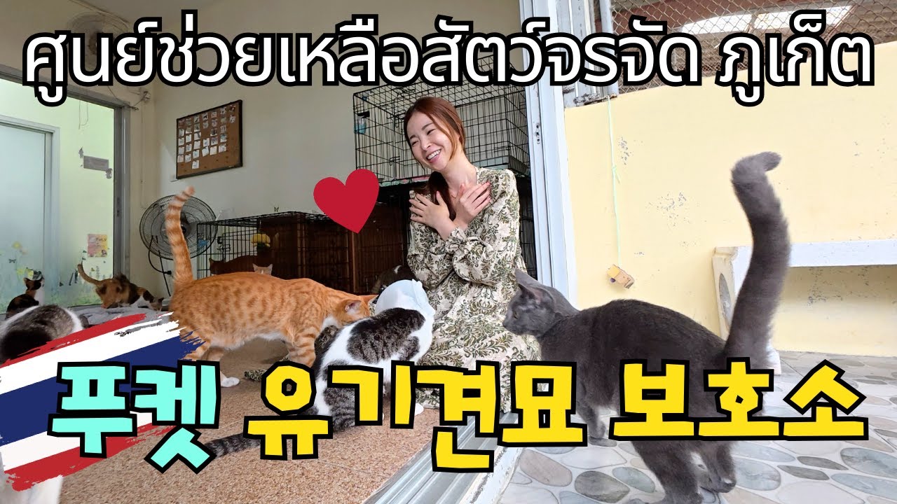 태국 한 달 여행 마지막 날 의미있는 곳에 다녀왔어요