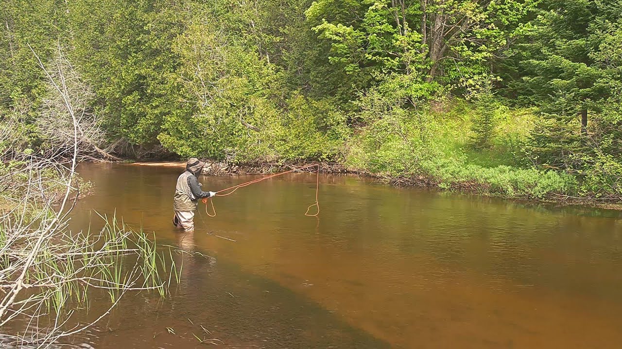 Fly Fishing the Indian River, Michigan Upper Peninsula