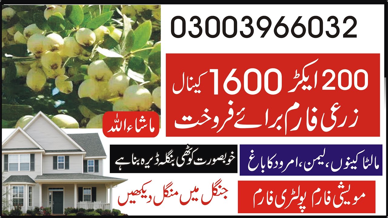 Agricultural Land  for  sale 200 Acer  Zari Zameen  | Zameen  | Agricultural  03003966032