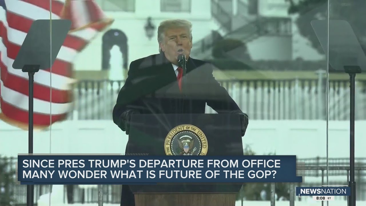 What is the future of the GOP?