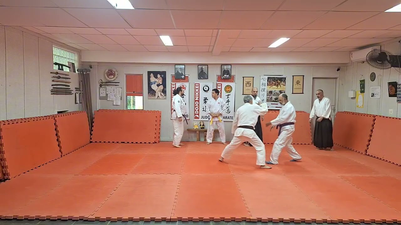 Tsuki e Jo Tori: Ude Kime Nage (com variação)