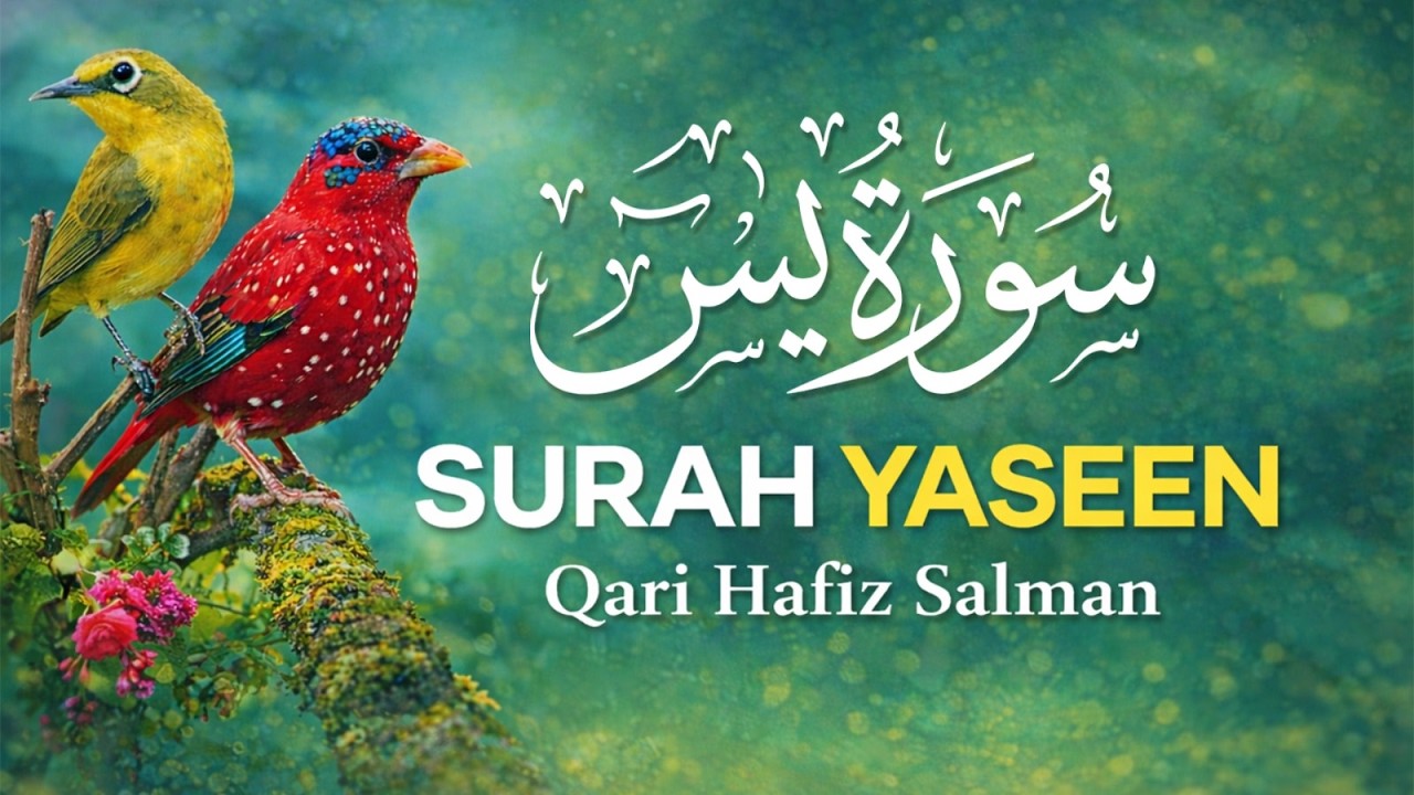 Surah Yaseen | Qari Hafiz Salman’s Beautiful Recitation