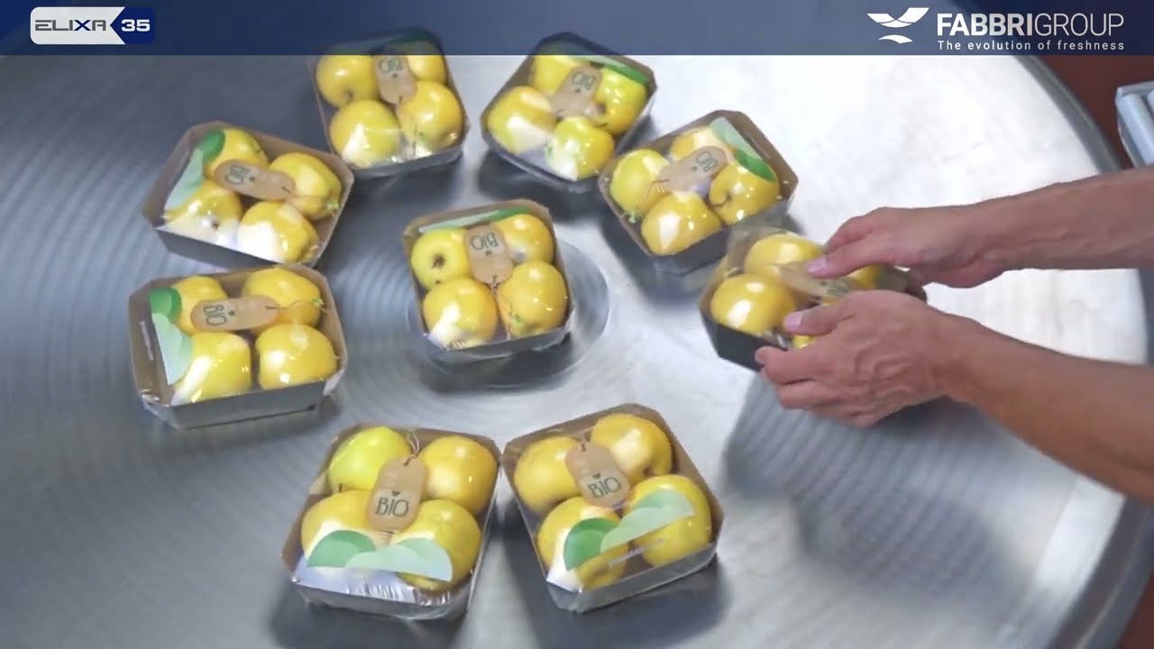 Fruit & Veg - Stretch - Elixa 35
