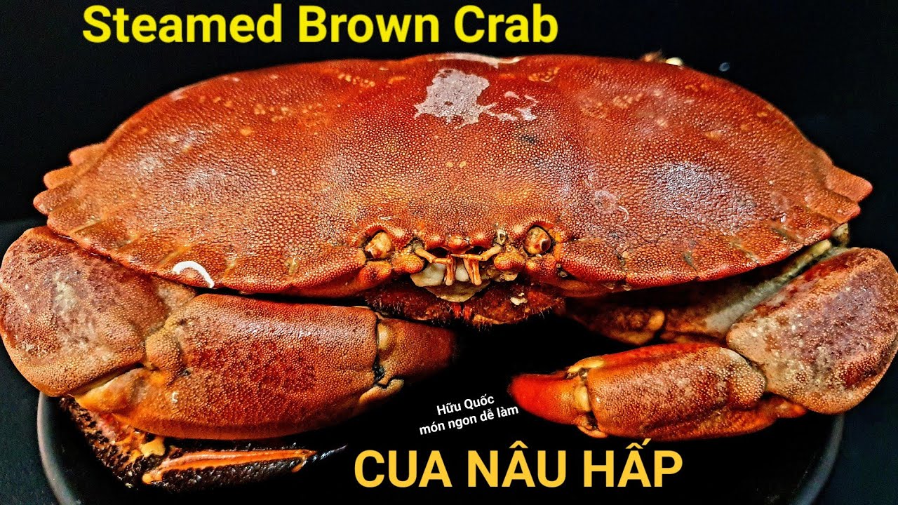 CUA N&Acirc;U HẤP (steamed brown crab) C&Aacute;CH HẤP CUA NGON m&agrave;u đẹp ngọt thịt  ăn l&agrave; ghiền lu&ocirc;n