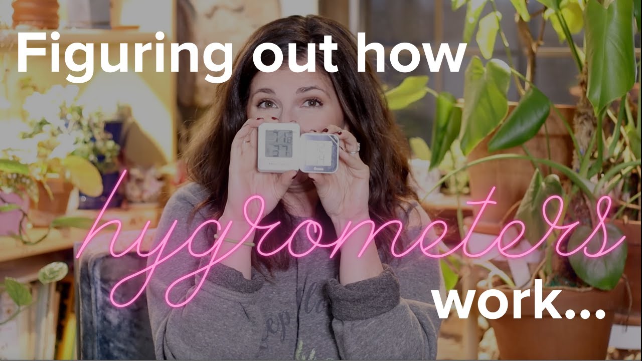 Moisture Meter and Hygrometer Review / Humidity Products for Houseplants Haul