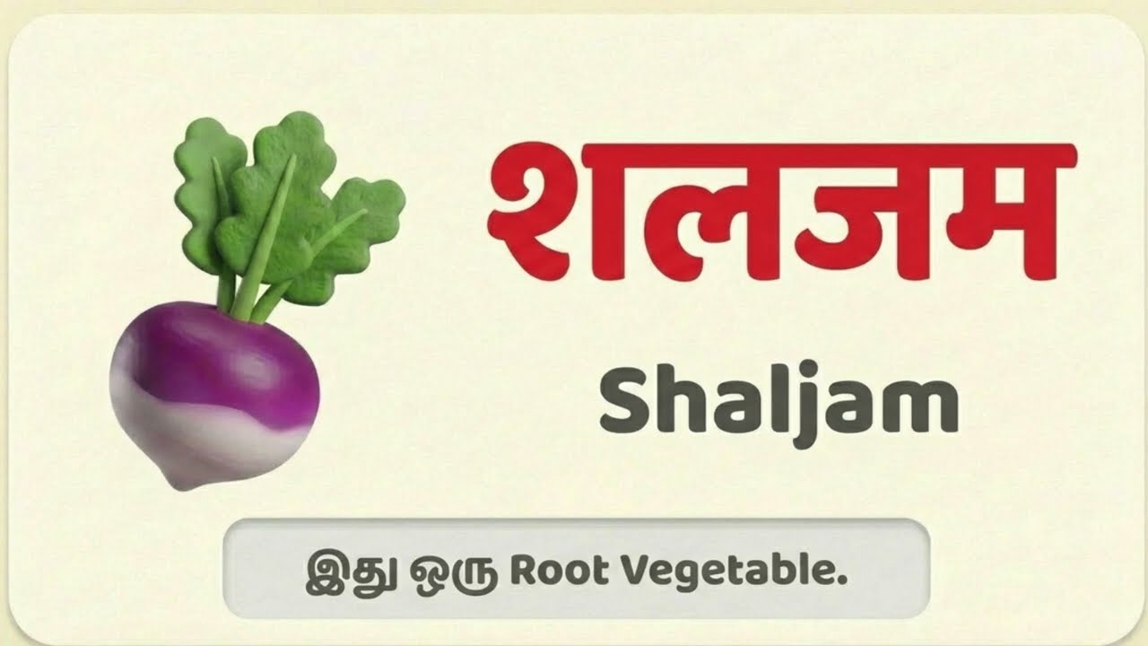 Hindi Picture Reading for Class 1 | Tamil + English Explanation | Easy Hindi for Kids | CBSE