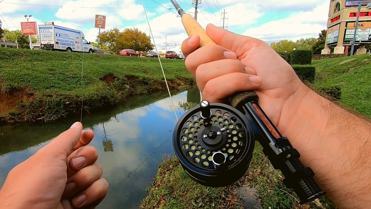 Top Water Fly Fishing Urban Ditch for ANYTHING
