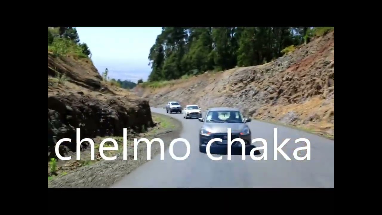 ለየት ያለ ምርጥ  ጨገር ነው ወደ ጭልሞ ጫካ ዝንጀሮና ጦጣ በሠርግ አጋጣሚ ነው