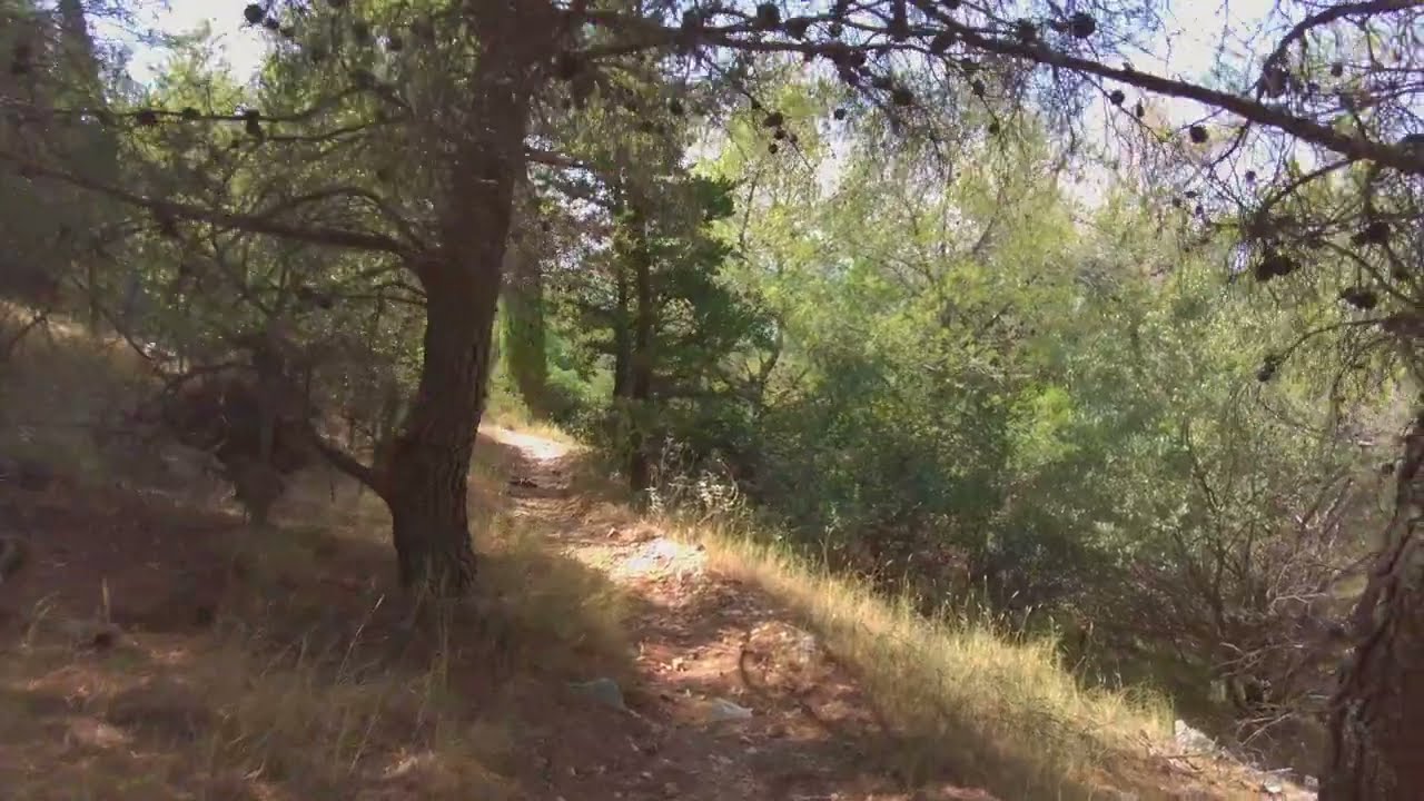 2023 09 16 / Greece, Athens - Hiking in Kaisariani Forest / 4K60