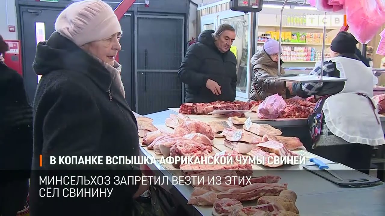 В Копанке вспышка африканской чумы свиней