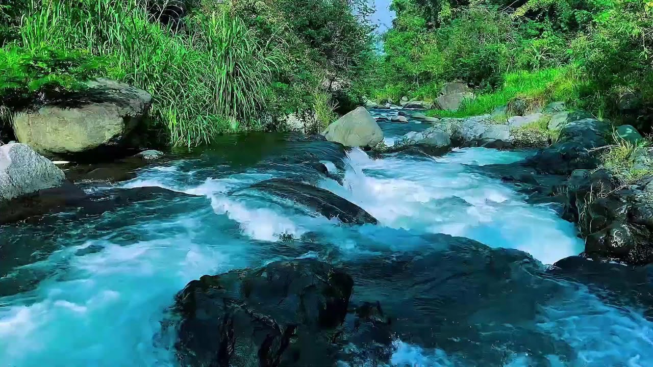 Mountain Stream Water Flow Audio, Forest River, Sleep