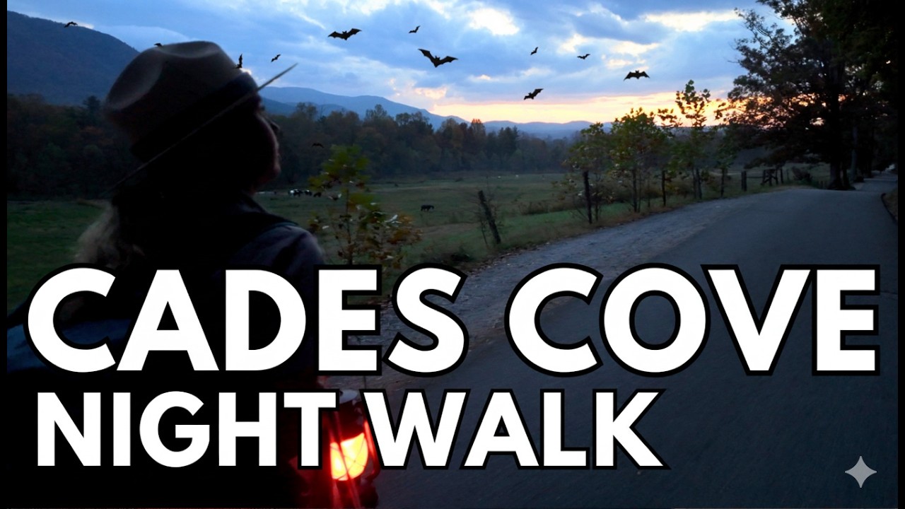 CADES COVE Night Walk With a Park Ranger