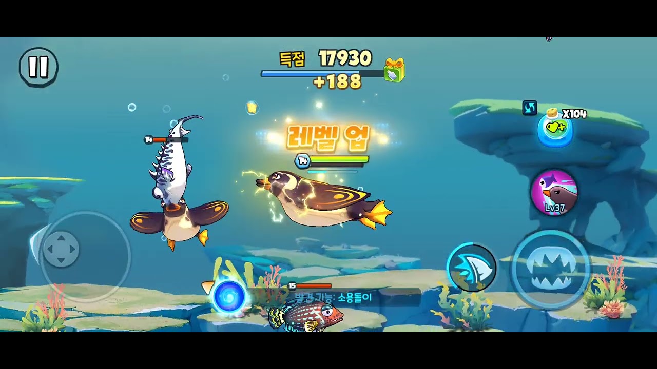 뻐끔뻐끔배틀 신규물고기 마젤란펭귄 키우기 2탄 스킬만렙