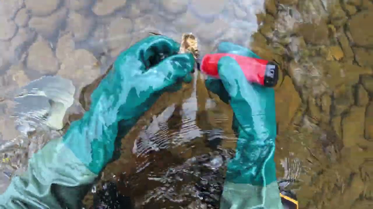 Metal Detecting a Creek in Pennsylvania   January 03, 2025