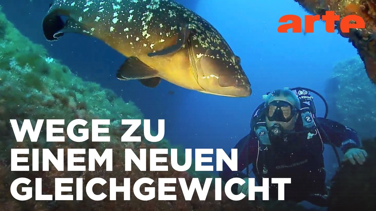 Die Natur und Wir | Europa. Kontinent im Umbruch | Doku HD Reupload | ARTE