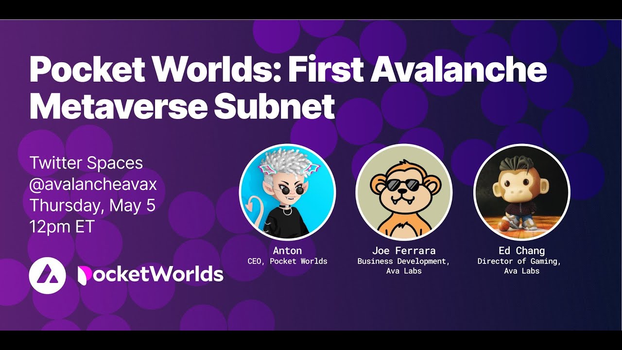 Avalanche Q&A with Pocket Worlds: First Avalanche Metaverse Subnet | Avalanche Gaming