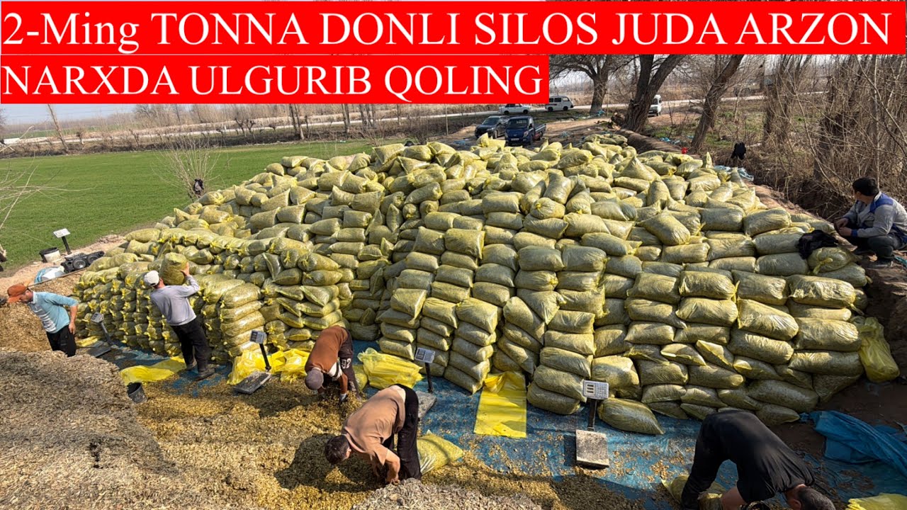 2-ming TONNA DONLI 🌽SILOS JUDA ARZON NARXDA ULGURIB QOLING🏃🏃