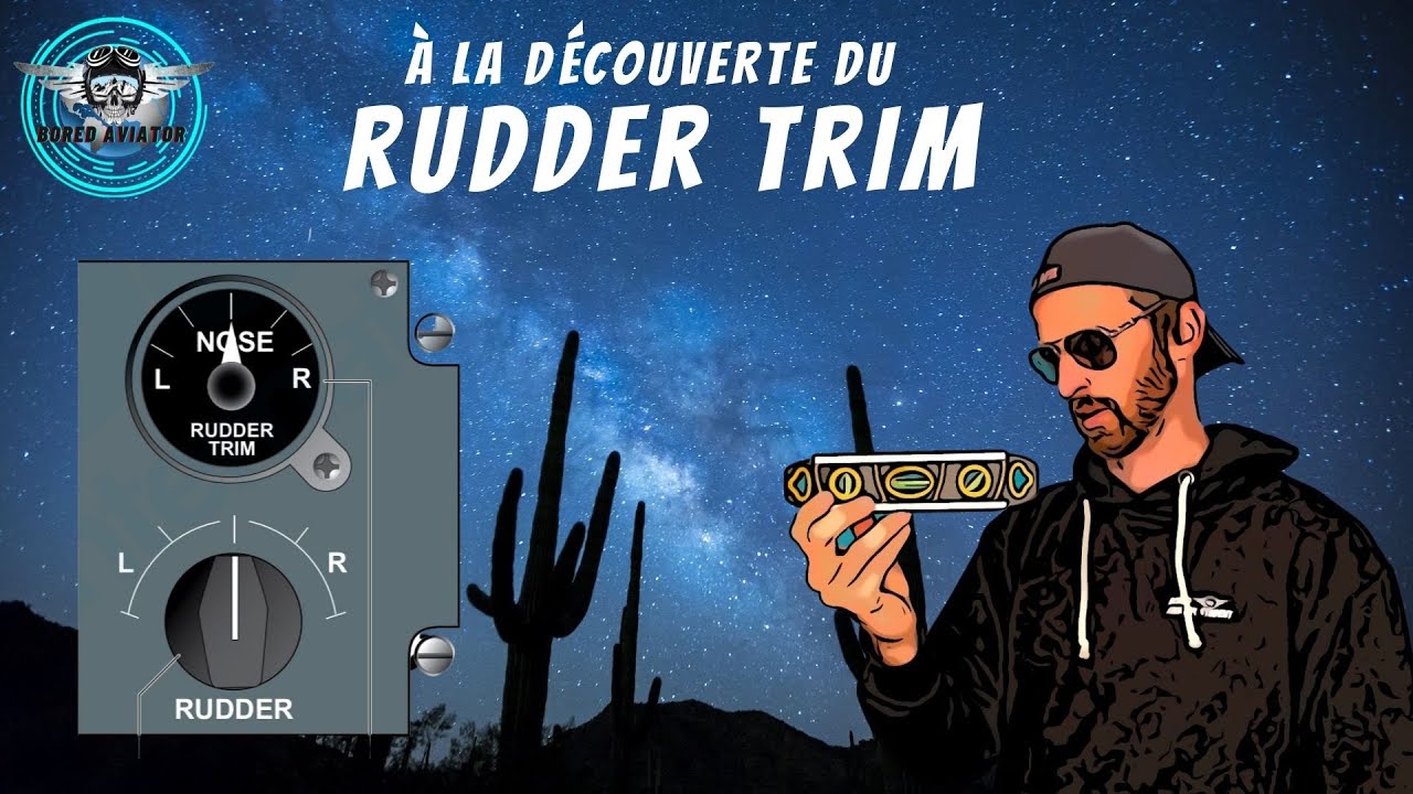 DHC8-314🔥| à la découverte du Rudder Trim - BAShow
