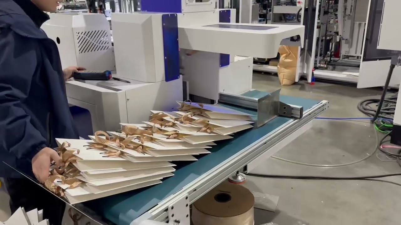 Oyang Luxury Bag Machine With Ribbon Flat Handle and Twisted Handle Inline/30min Size Change Time 